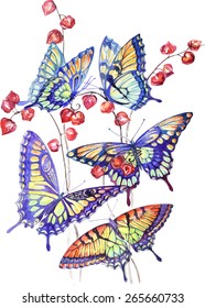 Vector Watercolor Swallowtail Butterfly with Red Flowers of Physalis. Illustration