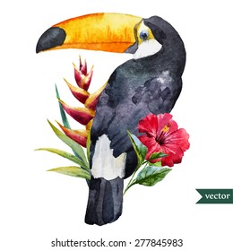 Vector Watercolor Toucan With Tropical Flowers