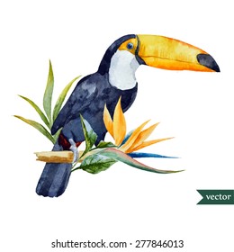 vector watercolor toucan with tropical flowers, illustration