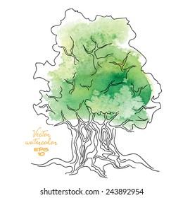 Vector watercolor tree. 