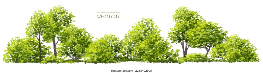 Vector watercolor of tree or forest side view isolated on white background for landscape and architecture drawing, elements for environment and garden, painting botanical for exterior section 