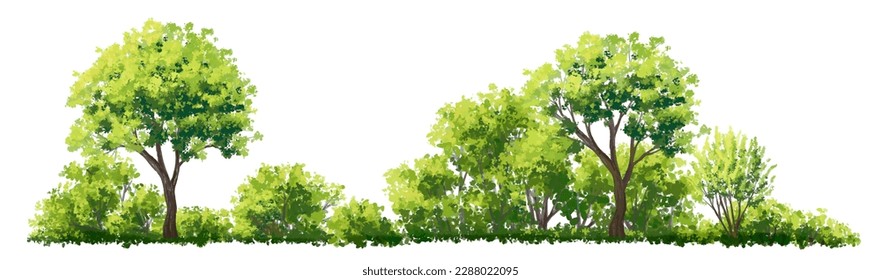 Vector acuarela de la vista lateral de árbol o bosque aislado en fondo blanco para el dibujo de paisaje y arquitectura, elementos para el medio ambiente y el jardín, pintura botánica para la sección exterior 