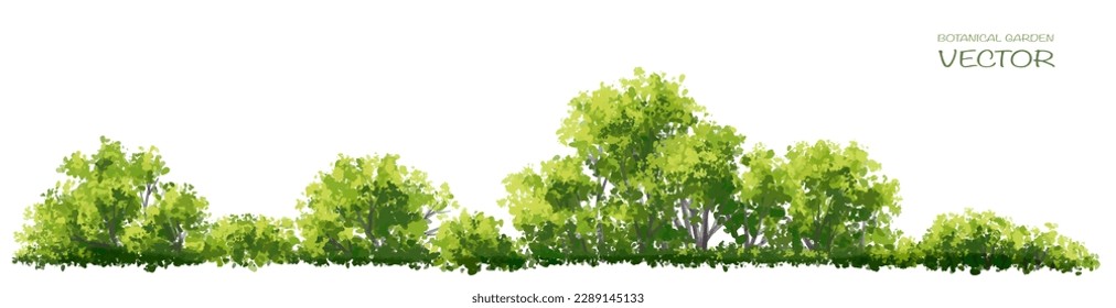 Vector watercolor of tree or forest side view isolated on white background for landscape and architecture drawing, elements for environment and garden, painting botanical for exterior section 