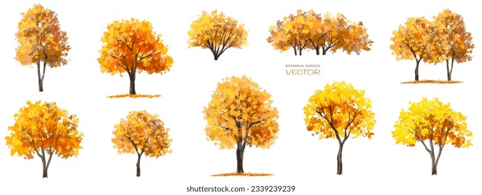 Vector watercolor tree or forest side view isolated on white background for landscape and architecture drawing,elements for environment or garden,botanical element for exterior section in autumn