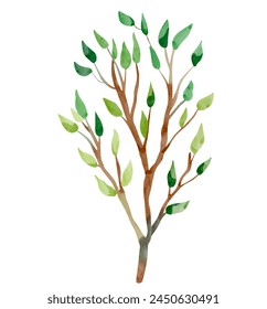Vector acuarela árbol. Dibujado a mano ilustración. Bosque de acuarela. Elemento de naturaleza acuarela