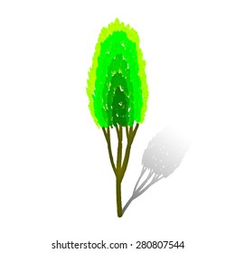 Vector watercolor tree isolated on white background. Watercolor painting of stylized summer tree. Eco design.