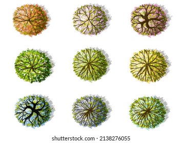Vector of watercolor tree side view isolated on white background  for landscape and architecture layout drawing, elements for environment and garden,blossom grass,flower blooming