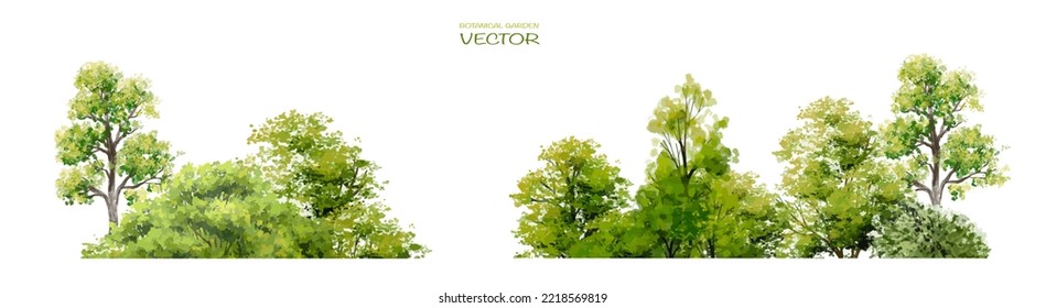 Vector Watercolor Of Tree Side View Isolated On White Background For Landscape And Architecture Drawing, Elements For Environment And Garden, Painting Botanical For Section And Elevation,green Grass