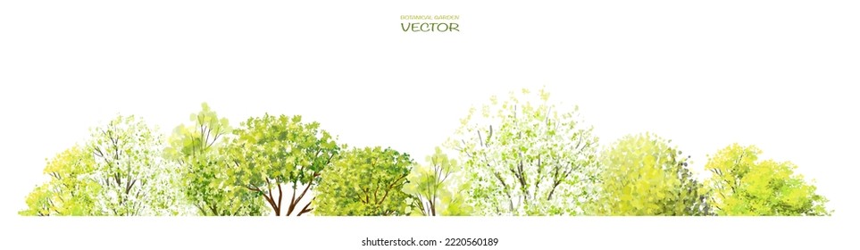 Vector Watercolor Of Tree Side View Isolated On White Background For Landscape  And Architecture Drawing, Elements For Environment And Garden, Painting Botanical For Section And Elevation 