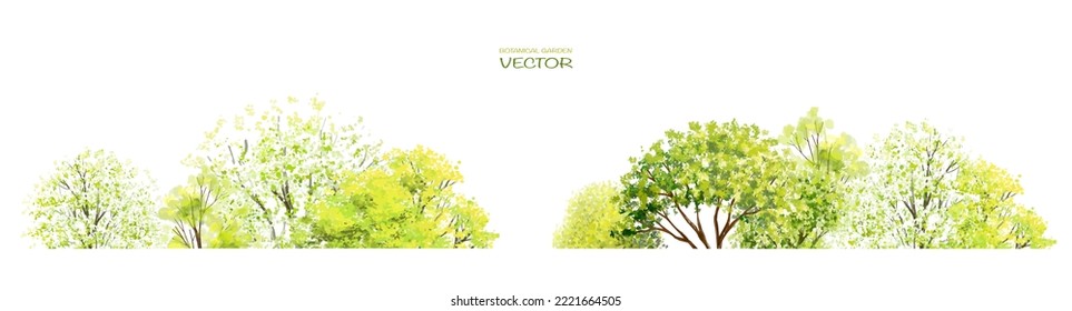 Vector Watercolor Of Tree Side View Isolated On White Background For Landscape  And Architecture Drawing, Elements For Environment And Garden, Painting Botanical For Section And Elevation 