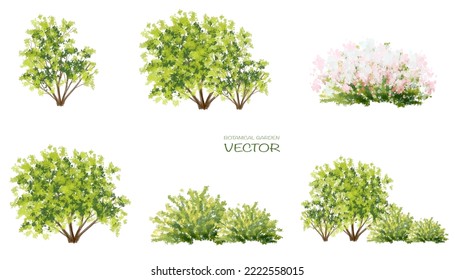 Vector watercolor tree side
