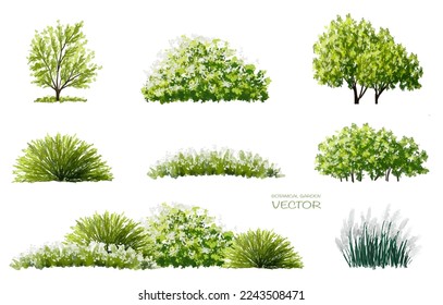 Vector watercolor of tree side view isolated on white background for landscape and architecture drawing, elements for environment and garden, painting botanical for section and elevation