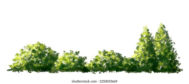 acuarela vectorial de la vista lateral del árbol aislada en fondo blanco para el dibujo de paisaje y arquitectura, elementos para el medio ambiente y el jardín, pintura botánica para sección y elevación 