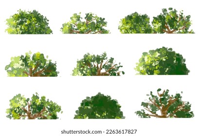 Vector watercolor of tree side view isolated on white background for landscape  and architecture drawing, elements for environment and garden, painting botanical for section and elevation 