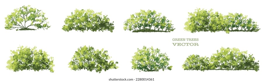 Vector watercolor of tree side view isolated on white background for landscape  and architecture drawing, elements for environment and garden, painting botanical for section and elevation 