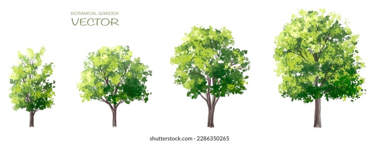 acuarela vectorial de la vista lateral de los árboles aislada sobre fondo blanco para el dibujo de paisajes y arquitectura, elementos para el medio ambiente y el jardín, pintura botánica para la sección