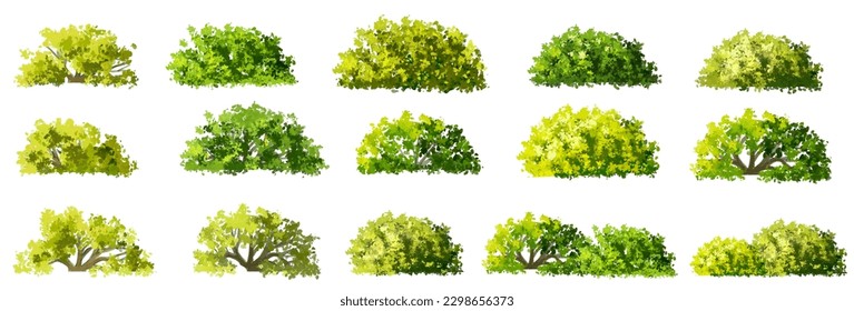 Vector watercolor of tree side view isolated on white background for landscape and architecture drawing, elements for environment and garden, painting botanical for section