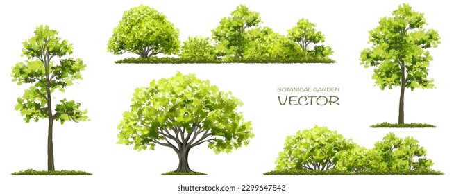 acuarela vectorial de la vista lateral de los árboles aislada sobre fondo blanco para el dibujo de paisajes y arquitectura, elementos para el medio ambiente y el jardín, pintura botánica para la sección