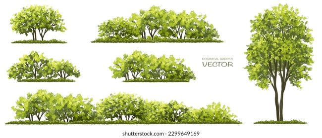 acuarela vectorial de la vista lateral de los árboles aislada sobre fondo blanco para el dibujo de paisajes y arquitectura, elementos para el medio ambiente y el jardín, pintura botánica para la sección