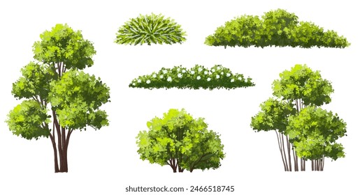 Vector watercolor of tree side view isolated on white background for landscape and architecture drawing, elements for environment and garden, painting botanical for section