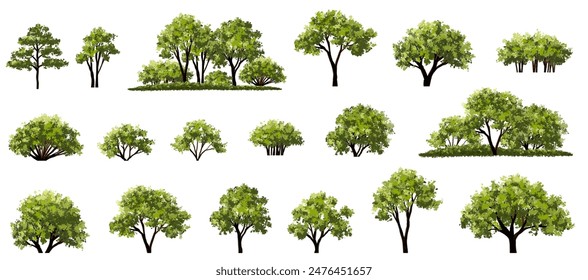 Vector watercolor of tree side view isolated on white background for landscape and architecture drawing, elements for environment and garden, painting botanical for section