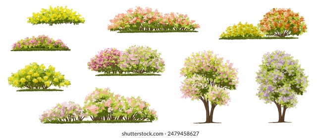 Vector watercolor of tree side view isolated on white background for landscape and architecture drawing, elements for environment and garden, painting botanical for section
