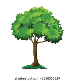 Vector watercolor of tree side view isolated on white background for landscape and architecture drawing, elements for environment and garden, painting botanical for section