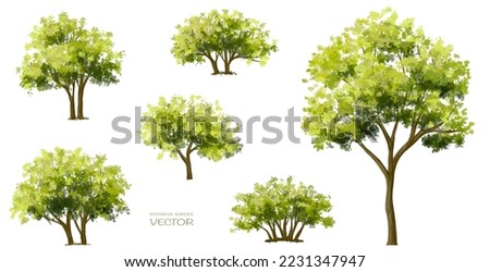 Similar – Image, Stock Photo Old single life oak trees with hanging spanish moss reflecting in a pond, southern living