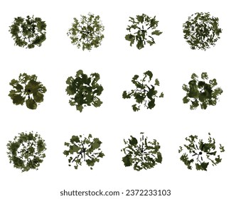 vector watercolor tree top set 