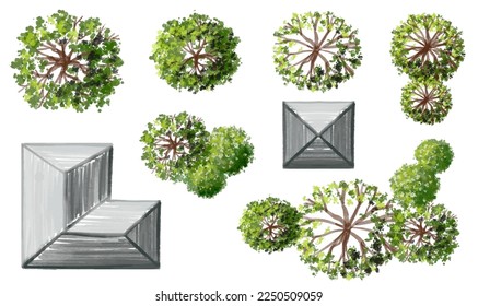 vector watercolor tree top view isolated on white background for landscape plan and architecture layout drawing, elements for environment and garden,green grass