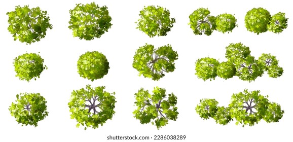 vector watercolor tree top view isolated on white background for landscape plan and architecture layout drawing, elements for environment and garden,green grass