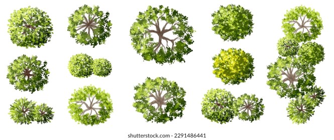 vector watercolor tree top view isolated on white background for landscape plan and architecture layout drawing, elements for environment and garden,green grass