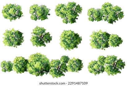 vector watercolor tree top view isolated on white background for landscape plan and architecture layout drawing, elements for environment and garden,green grass