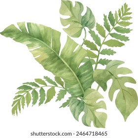 Vector Watercolor tropical branches, banana and monstera leaves. Template, design elements for greeting cards, invitation, gender party, baby shower, birthday, event, holiday, wedding card, printable.