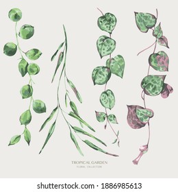 Vector watercolor tropical green leaves. Greenery illustration, botanical greeting card.