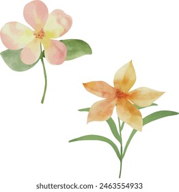 Vector Watercolor tropical pink and orange flowers couple. Template, design elements for greeting cards, invitation, gender party, baby shower, birthday, event, holiday, wedding card, printable, EPS.