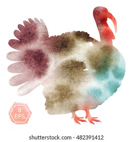 Vector. Watercolor turkey isolated on white background for your design.