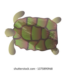 Vector watercolor turtle. Vector illustration for greeting cards, invitations, and other printing and web projects.