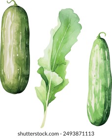 Vector Acuarela verduras, Clipart, pepino, lechuga. Ilustraciones para cocina creativa, invitación, tarjetas de felicitación, cumpleaños, evento, vacaciones, menú; clase de cocina; Master Class