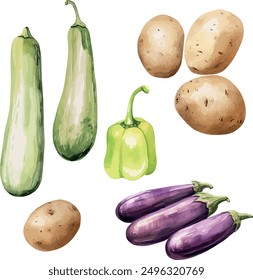 Vector Watercolor vegetables, clipart, cucumber, eggplant, potato, pepper bell. Illustrations for creative cooking, invitation, greeting cards, birthday, event, holiday, menu; cooking class; Master C