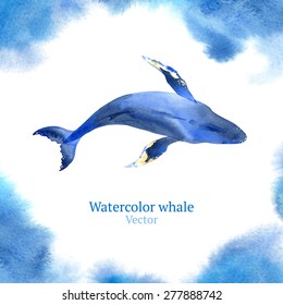 Vector Watercolor Whale