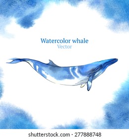Vector watercolor whale