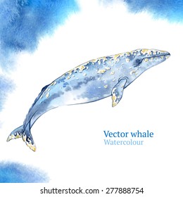 Vector watercolor whale