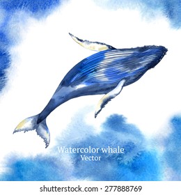 Vector watercolor whale