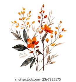 Vector watercolour dried flowers Bouquet isolated on white background. Autumn home decor, thanksgiving greeting card design