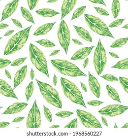 Vector watercolour green leaves seamless pattern on a white background. Suitable for fabric, invitation card, scrapbooking, gift wrap, packaging and other design projects. 