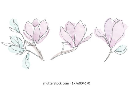Vector watercolour magnolia set. Three different flowers with leaves and authentic paints texture