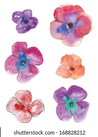 Vector Watercolour Pansy Flowers