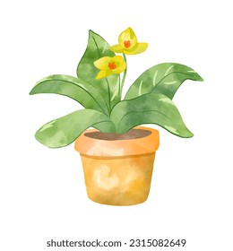 vector watercolour potted plant with yellow blossom flowers. House gardening. Botanical sticker