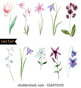 Vector Watercolour Set Of Flowers, Spring Plants Isolated On White Background